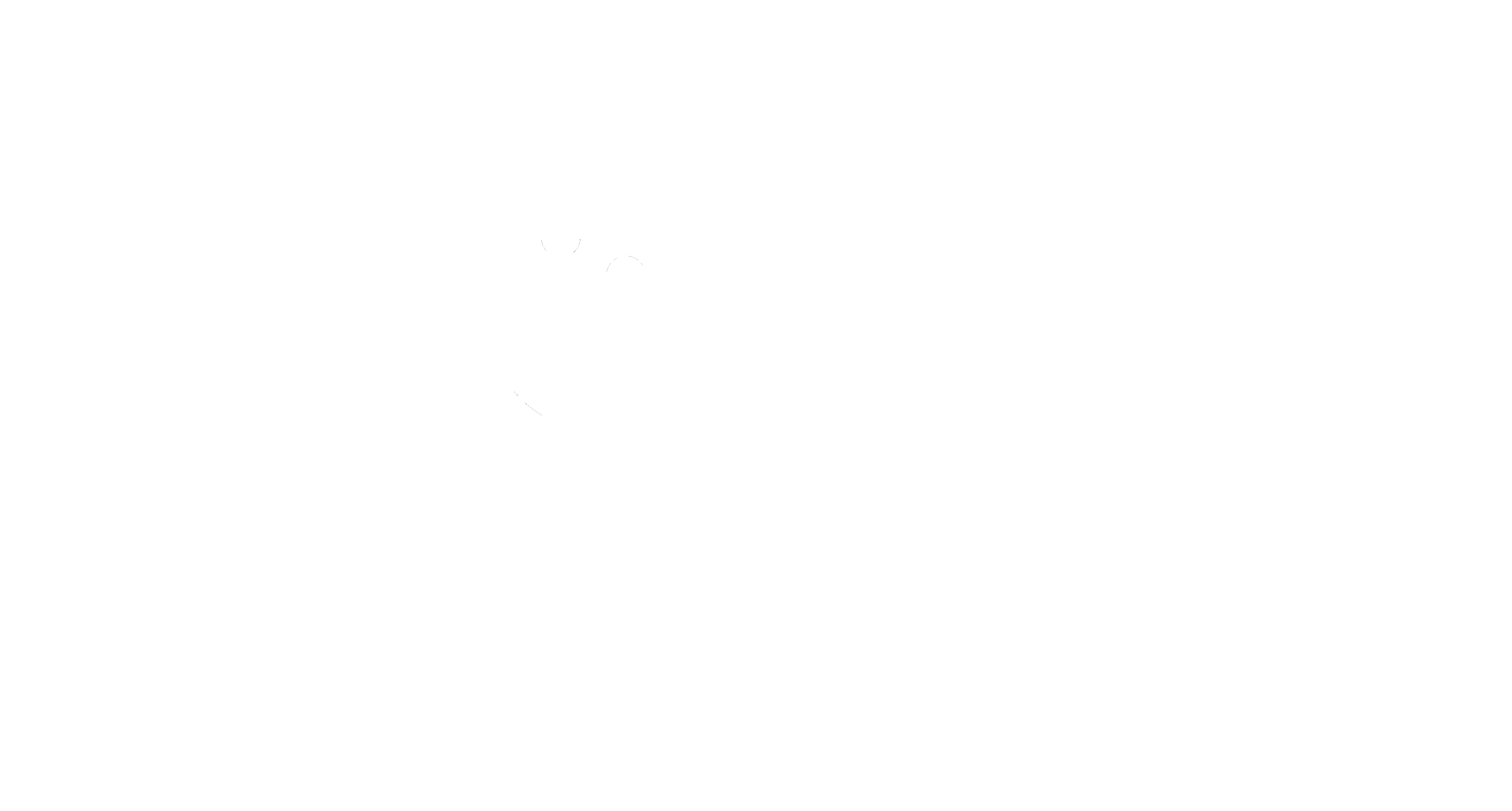 Logo Roga Roga Analytics